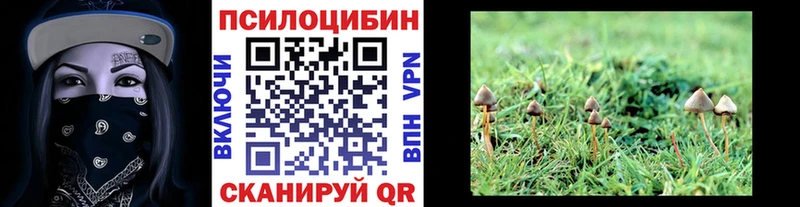 хочу   Пыталово  Галлюциногенные грибы GOLDEN TEACHER 